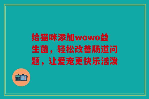 给猫咪添加wowo益生菌，轻松改善肠道问题，让爱宠更快乐活泼
