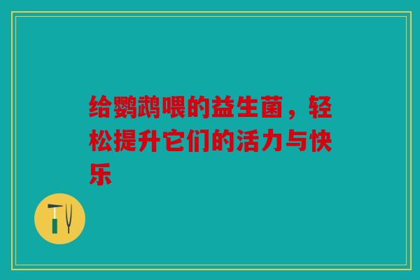 给鹦鹉喂的益生菌，轻松提升它们的活力与快乐