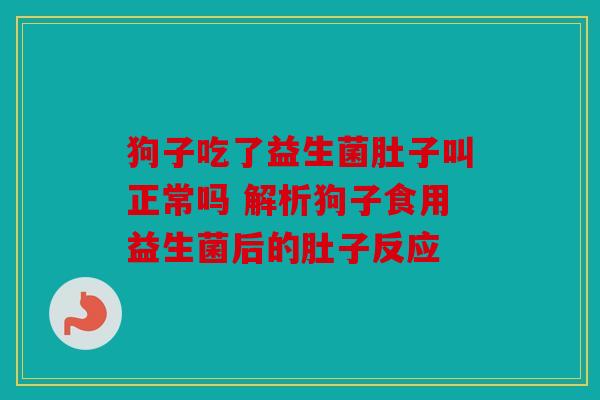 狗子吃了益生菌肚子叫正常吗 解析狗子食用益生菌后的肚子反应