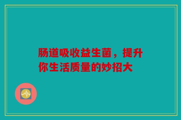 肠道吸收益生菌，提升你生活质量的妙招大