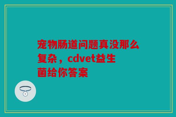 宠物肠道问题真没那么复杂，cdvet益生菌给你答案