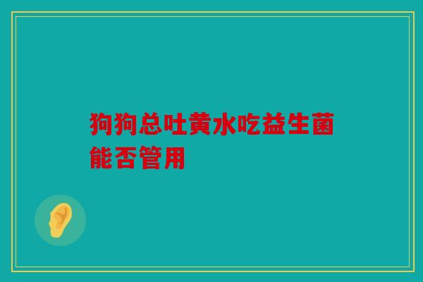 狗狗总吐黄水吃益生菌能否管用