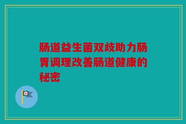 肠道益生菌双歧助力肠胃调理改善肠道健康的秘密
