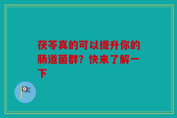 茯苓真的可以提升你的肠道菌群？快来了解一下