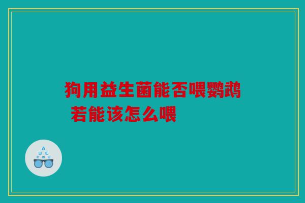 狗用益生菌能否喂鹦鹉 若能该怎么喂