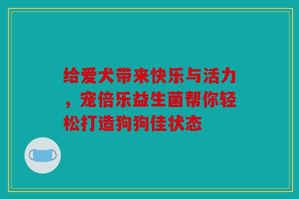 给爱犬带来快乐与活力，宠倍乐益生菌帮你轻松打造狗狗佳状态