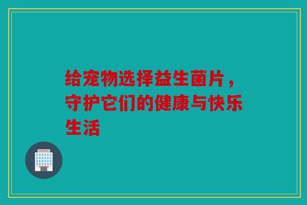 给宠物选择益生菌片，守护它们的健康与快乐生活