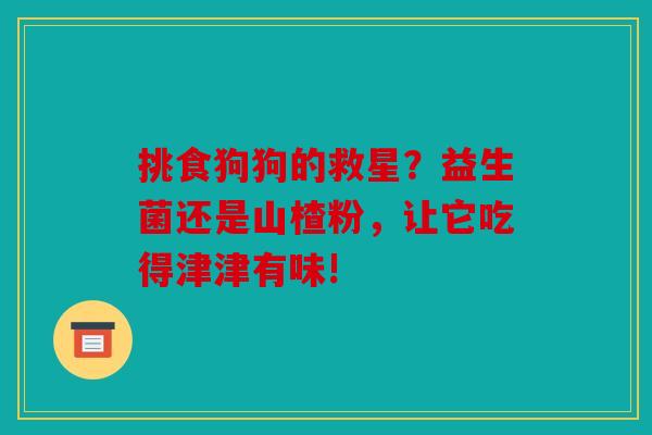 挑食狗狗的救星？益生菌还是山楂粉，让它吃得津津有味!
