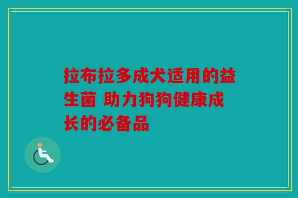 拉布拉多成犬适用的益生菌 助力狗狗健康成长的必备品