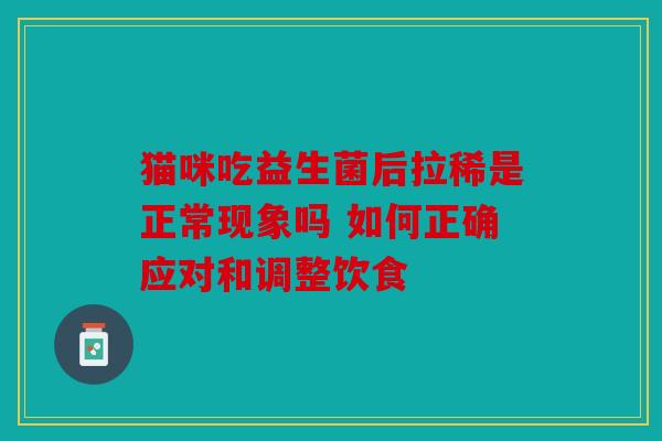 猫咪吃益生菌后拉稀是正常现象吗 如何正确应对和调整饮食