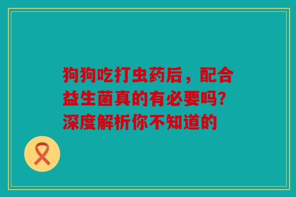 狗狗吃打虫药后，配合益生菌真的有必要吗？深度解析你不知道的