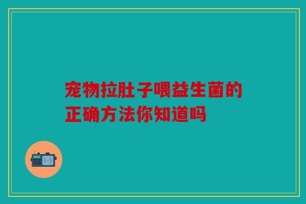 宠物拉肚子喂益生菌的正确方法你知道吗