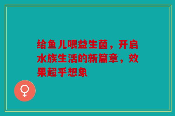 给鱼儿喂益生菌，开启水族生活的新篇章，效果超乎想象