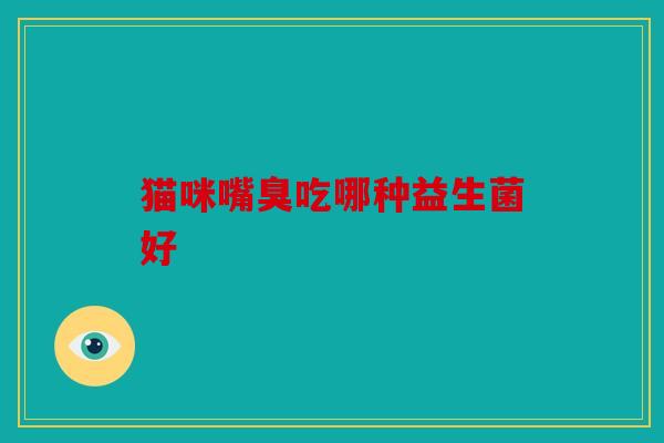 猫咪嘴臭吃哪种益生菌好