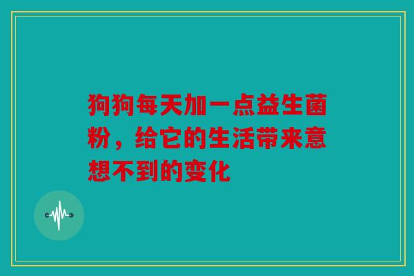 狗狗每天加一点益生菌粉，给它的生活带来意想不到的变化