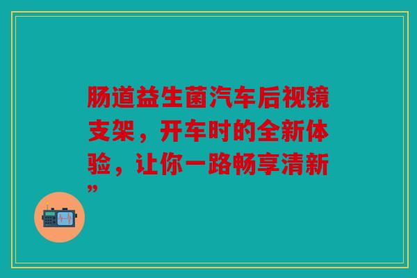 肠道益生菌汽车后视镜支架，开车时的全新体验，让你一路畅享清新”