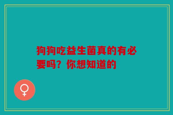 狗狗吃益生菌真的有必要吗？你想知道的