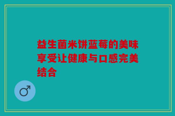 益生菌米饼蓝莓的美味享受让健康与口感完美结合