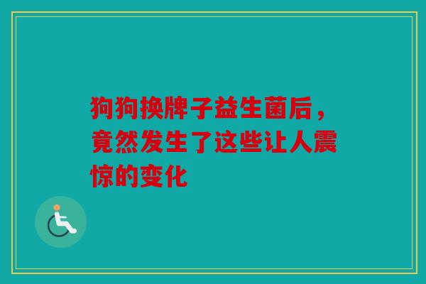 狗狗换牌子益生菌后，竟然发生了这些让人震惊的变化