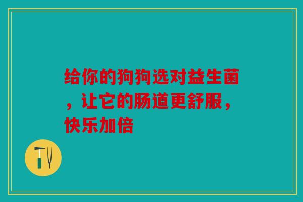 给你的狗狗选对益生菌，让它的肠道更舒服，快乐加倍