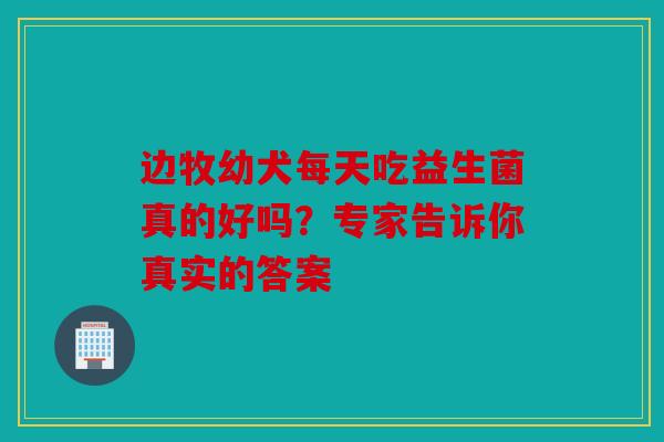 边牧幼犬每天吃益生菌真的好吗？专家告诉你真实的答案