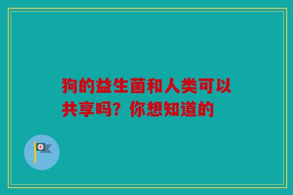 狗的益生菌和人类可以共享吗？你想知道的