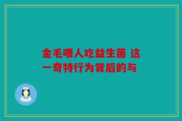 金毛喂人吃益生菌 这一奇特行为背后的与