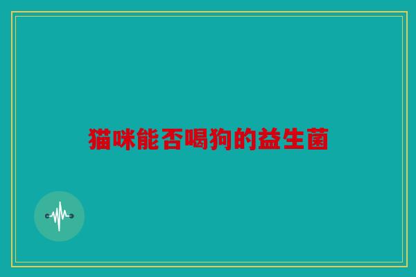 猫咪能否喝狗的益生菌
