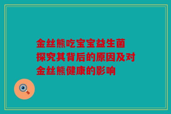 金丝熊吃宝宝益生菌 探究其背后的原因及对金丝熊健康的影响