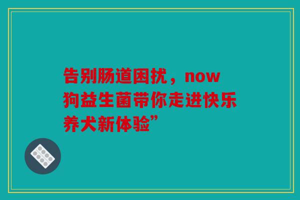 告别肠道困扰，now狗益生菌带你走进快乐养犬新体验”
