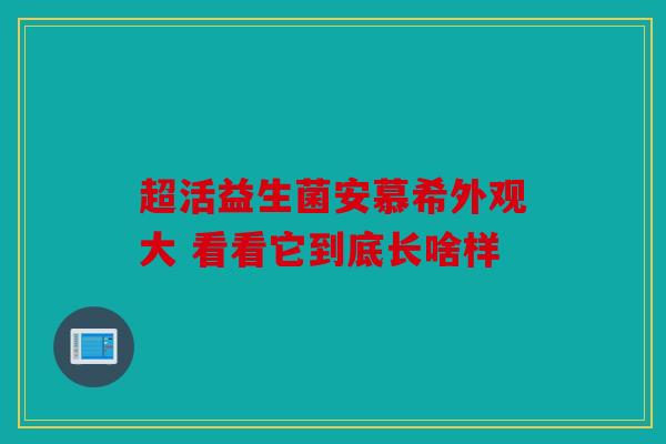 超活益生菌安慕希外观大 看看它到底长啥样