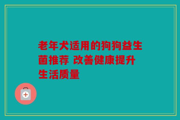 老年犬适用的狗狗益生菌推荐 改善健康提升生活质量