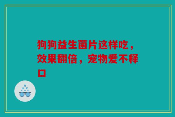 狗狗益生菌片这样吃，效果翻倍，宠物爱不释口